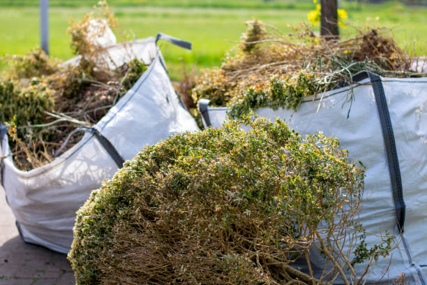Best Household Junk Removal  in Mcleansboro, IL